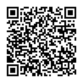 Ads by zavixnexo.co.in QR code