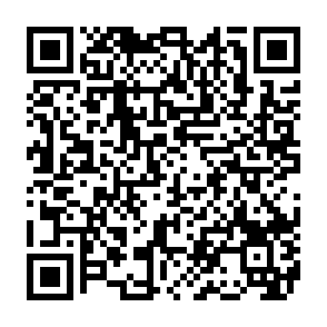 Zebec Network Rewards crypto drainer QR code