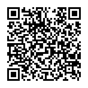 Ads by zenithchainedge.com QR code