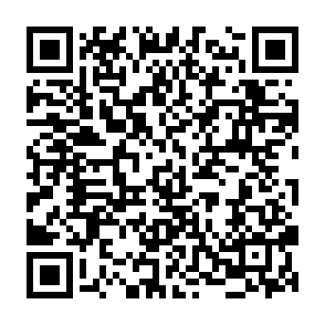 Ads by zenithflowrentix.co.in QR code