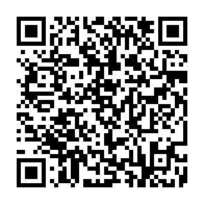 ZERA Distribution crypto drainer QR code