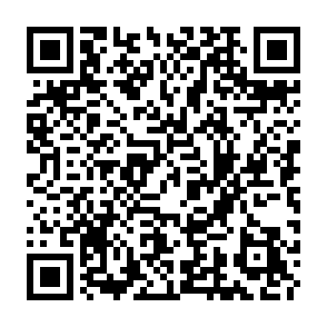 Ads by zexornero.co.in QR code