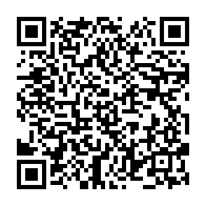 ZigCryptoStealer clipper QR code