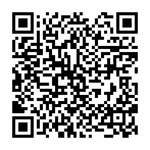 Zollo virus QR code