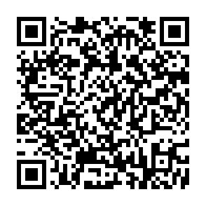 Zora Vote Rewards crypto drainer QR code