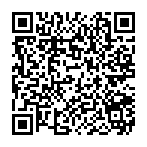 Ads by zravonira.com QR code