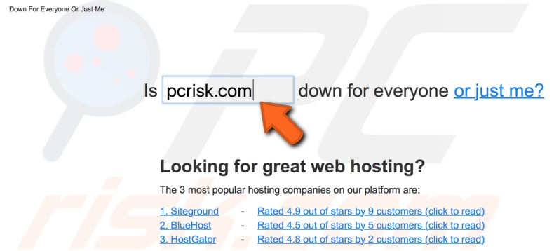 check website status