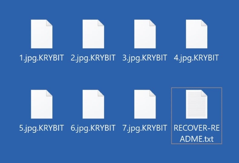 File Explorer showing files with ransomware-encrypted extension