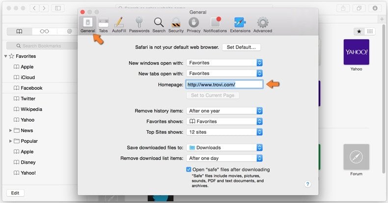 Removing browser hijackers from safari step 3 - changing homepage