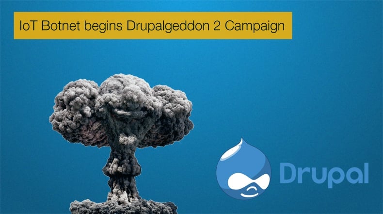botnet begins drupalgeddon 2 campaign
