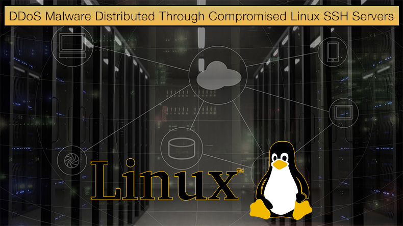 DDoS Malware Distributed Through Compromised Linux SSH Servers