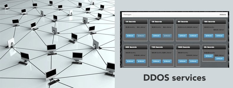 ddos services for hire