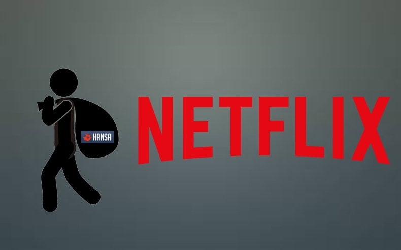 netflix accounts on hansa marketplace