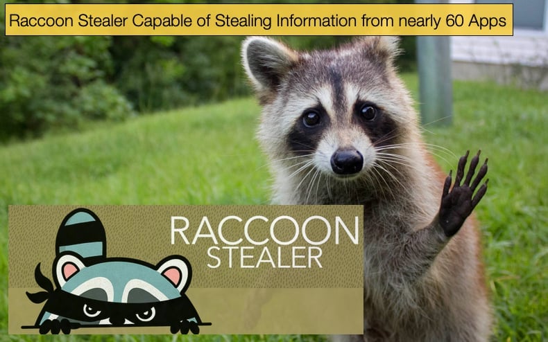 raccoon stealer is capable of stealing information from sixty different applications