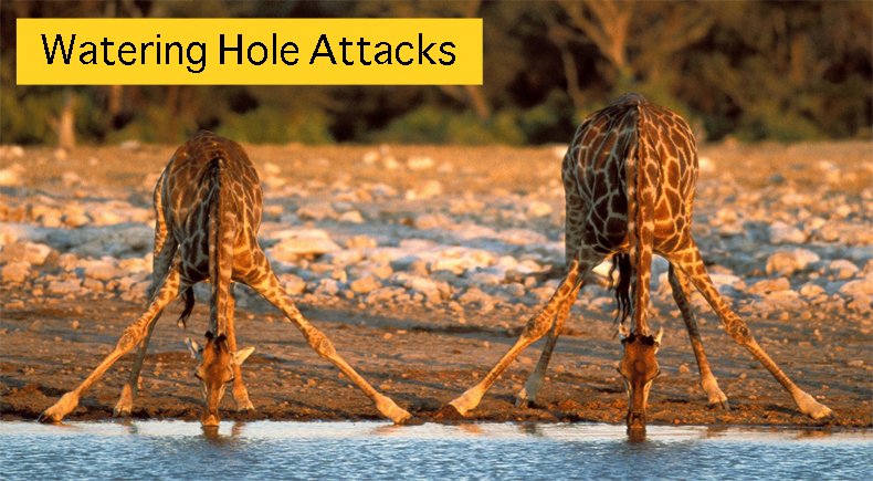watering hole attack