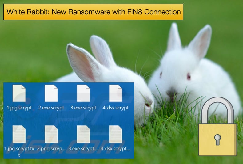 white rabbit ransomware fin8 connection