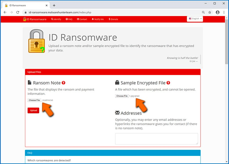 Identify ransomware-type infection (step 3)