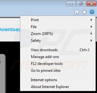 Removing Trontizer from Internet Explorer step 1
