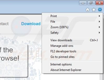 Removing WonderBrowse from Internet Explorer extensions step 1