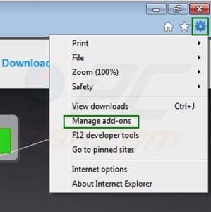 Removing Zoom downloader from Internet Explorer extensions step 1