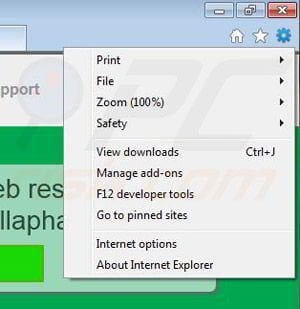 Removing Bellaphant from Internet Explorer step 1