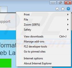 Removing Laflurla from Internet Explorer step 1