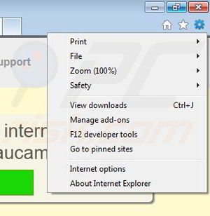 Removing Maucampo from Internet Explorer step 1