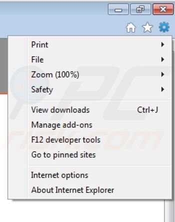 Removing Rebate Informer from Internet Explorer step 1