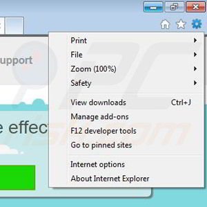 Removing Surftastic from Internet Explorer step 1