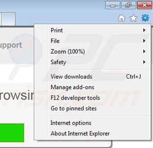 Removing SwizzleBiz from Internet Explorer step 1