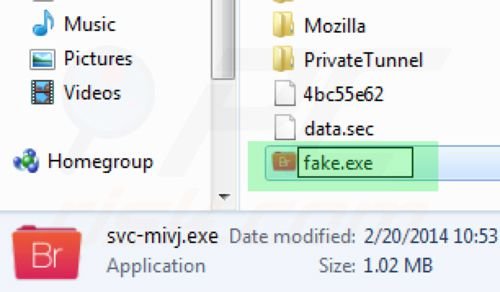 Renaming the executable file of Windows Antivirus Suite step 2