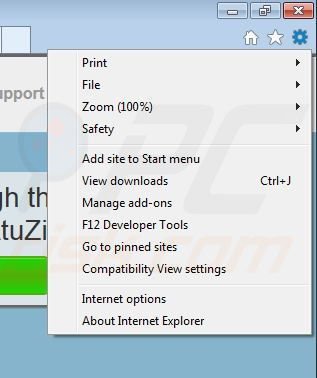 Removing AtuZi from Internet Explorer step 1
