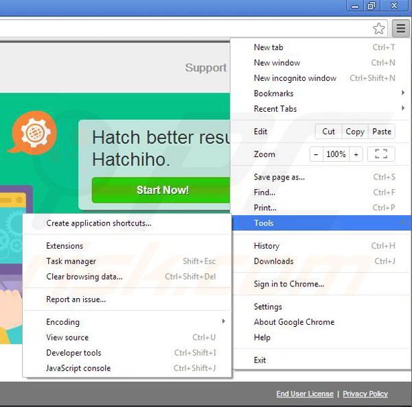 Removing Hatchiho from Google Chrome step 1