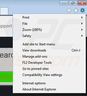 Removing Netgranule from Internet Explorer step 1