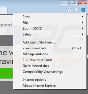 Removing raving reyven from Internet Explorer step 1
