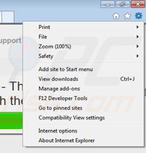 Removing Rock Turner from Internet Explorer step 1