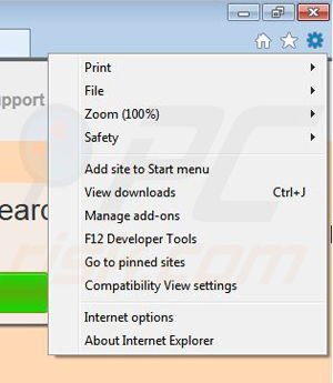 Removing ViperOut from Internet Explorer step 1