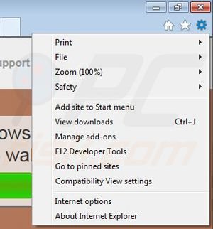 Removing Waleisa from Internet Explorer step 1