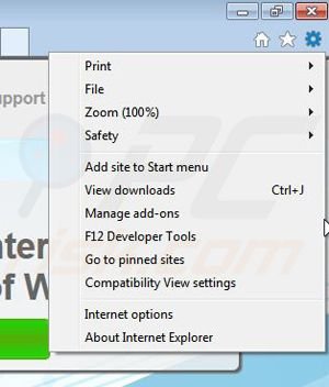 Removing Web Frog from Internet Explorer step 1