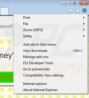 Removing karatoh from Internet Explorer step 1