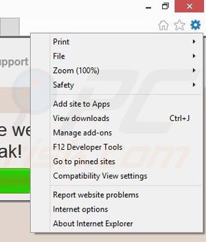 Removing Adanak from Internet Explorer step 1