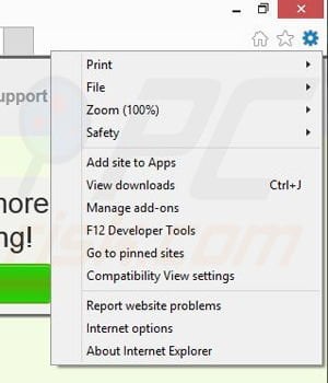Removing DizzyDing from Internet Explorer step 1