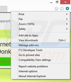 Removing Donkick from Internet Explorer step 1