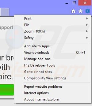 Removing EnhanceEmpire from Internet Explorer step 1
