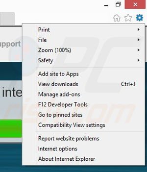 Removing webrunn from Internet Explorer step 1
