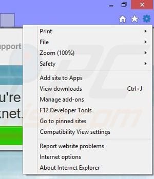 Removing DC Locknet from Internet Explorer step 1