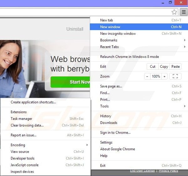 Removing berrybesearch from Google Chrome step 1