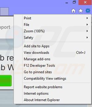 Removing Krab Web from Internet Explorer step 1