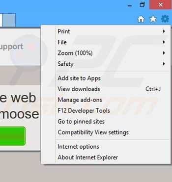 Removing platamoose from Internet Explorer step 1