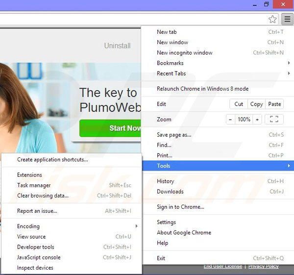 Removing PlumoWeb from Google Chrome step 1